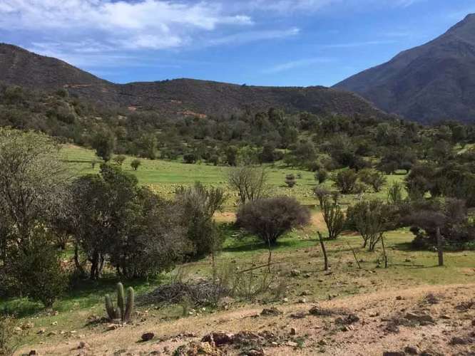 FUNDO COLLIGUAY, 43.28 HA, CASA Y PISCINA (89627)