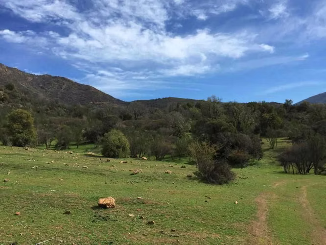 FUNDO COLLIGUAY, 43.28 HA, CASA Y PISCINA (89627)