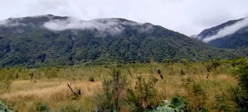 RÍO QUEULAT 43HA