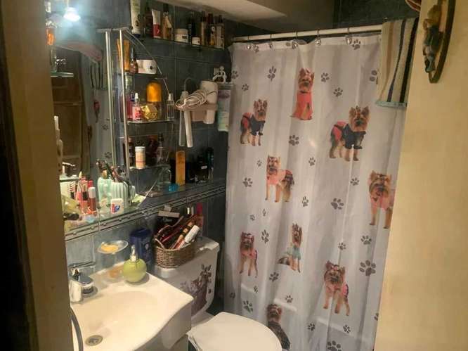 San Pablo/Brasil (90031) - Imagen 4