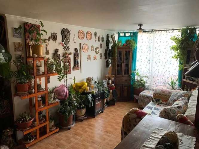 San Pablo/Brasil (90031) - Imagen 7
