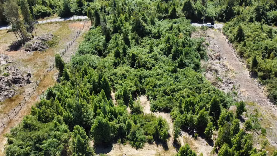 Se Vende Terreno en Puerto Octay, Región de Los Lagos