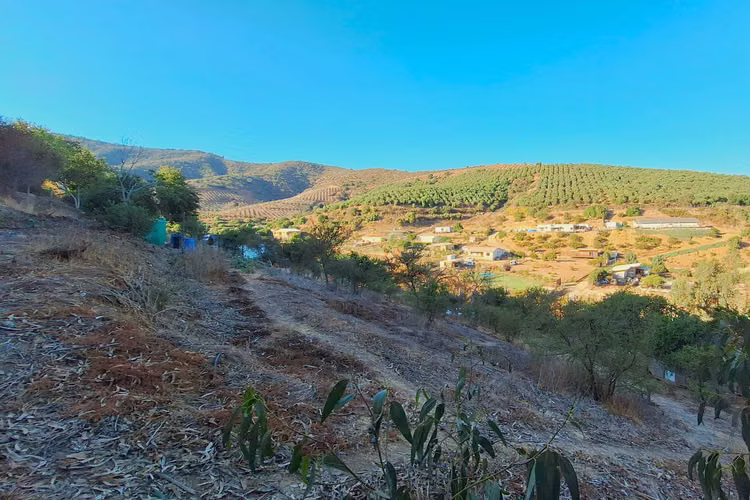 ¡Construye tu hogar vistas al Valle! (90024) - Imagen 13