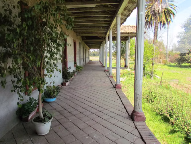 Terreno agrícola con derechos de agua (89921)