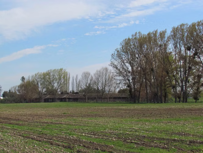 Terreno agrícola con derechos de agua (89921)