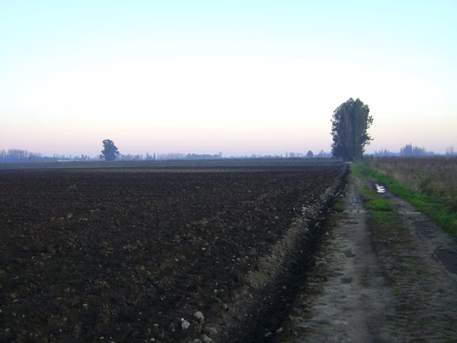 Terreno agrícola con derechos de agua (89921)