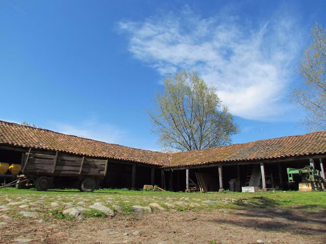 Terreno agrícola con derechos de agua (89921)