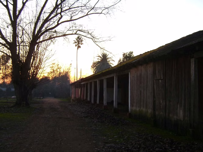 Terreno agrícola con derechos de agua (89921)