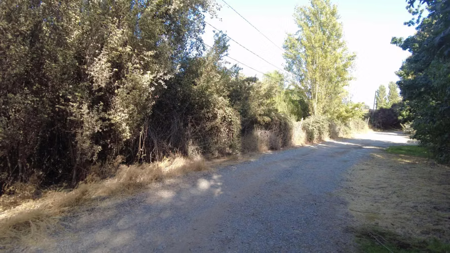 Parcela 5000 m, Cond. Los Cipreses, Pirque (90349)