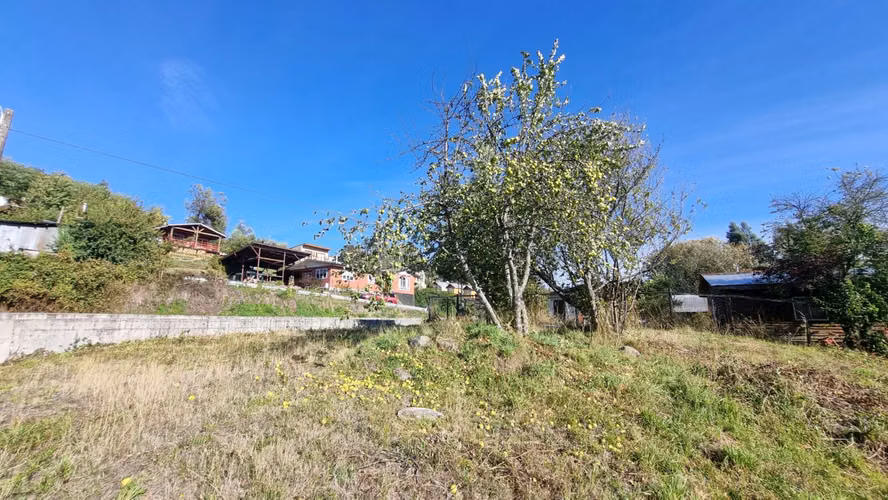Amplio Terreno Urbano Panguipulli - Imagen 8