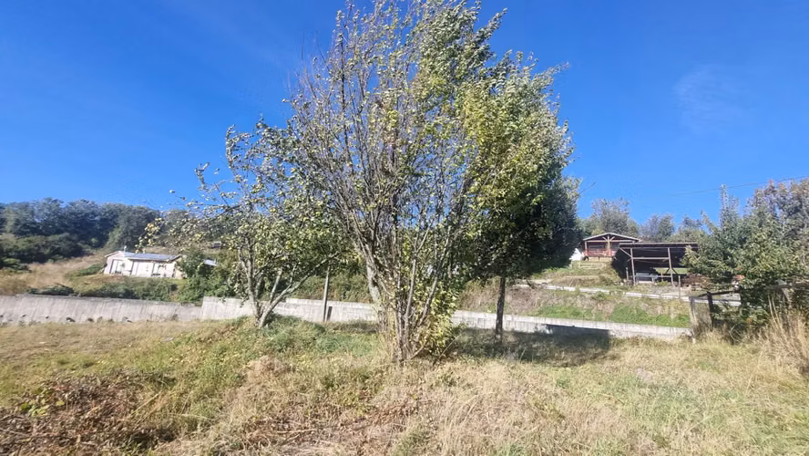 Amplio Terreno Urbano Panguipulli - Imagen 5