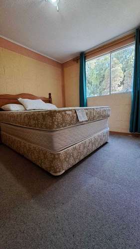 Arriendo Departamento Vicuña (75921)