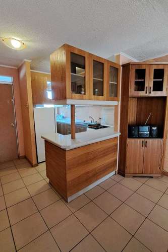 Arriendo Departamento Vicuña (75921)
