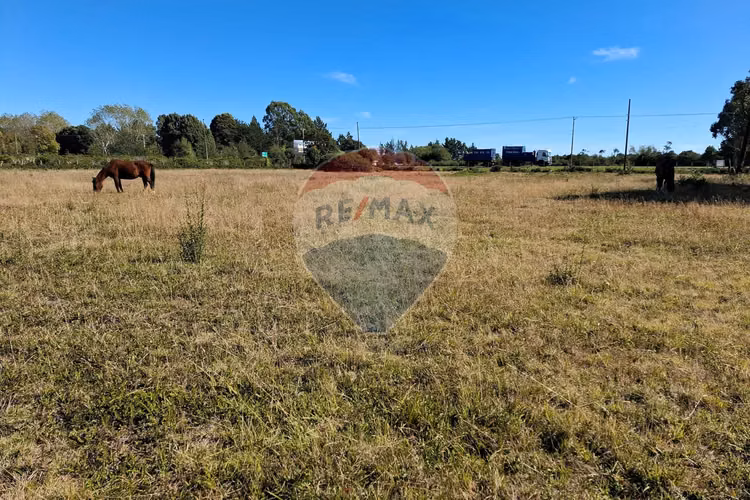 Vende 7,500 m2 con potencial comercial
