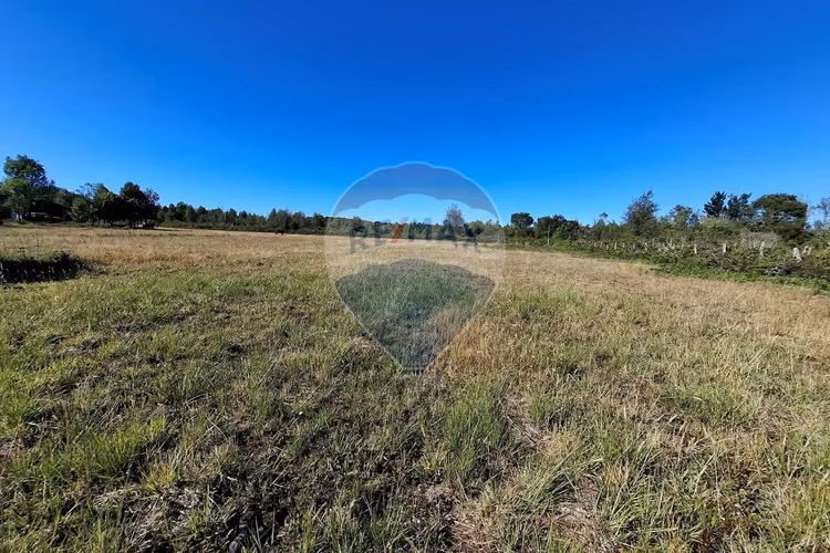 Vende 7,500 m2 con potencial comercial