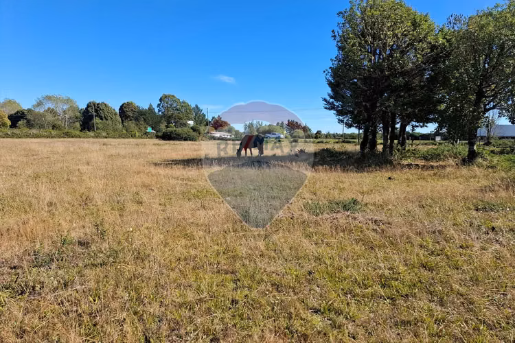 Vende 7,500 m2 con potencial comercial