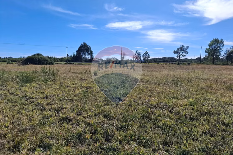 Vende 7,500 m2 con potencial comercial