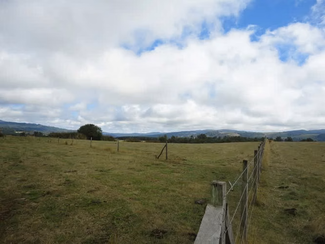 AGRICOLA Malihue