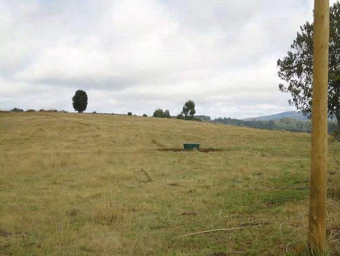 AGRICOLA Malihue