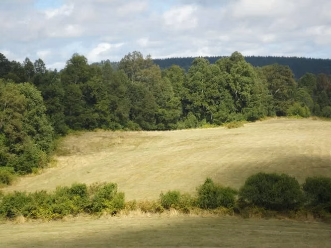 AGRICOLA Malihue