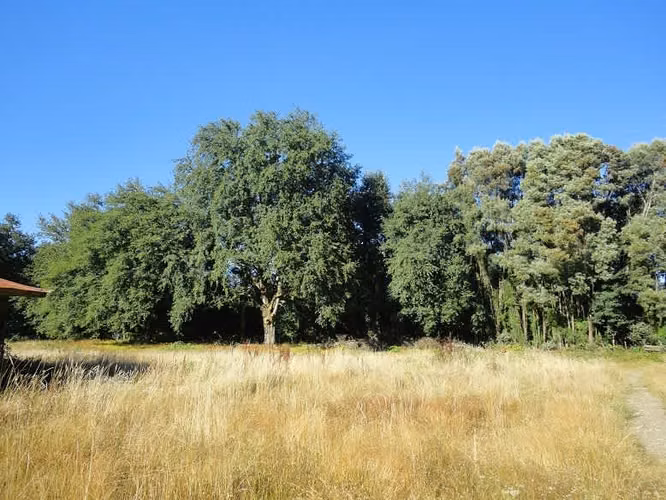 AGRICOLA Fundo Victoria