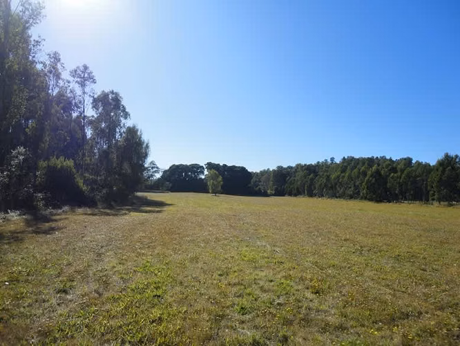 AGRICOLA Fundo Victoria