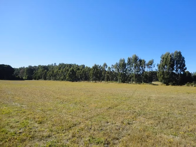 AGRICOLA Fundo Victoria