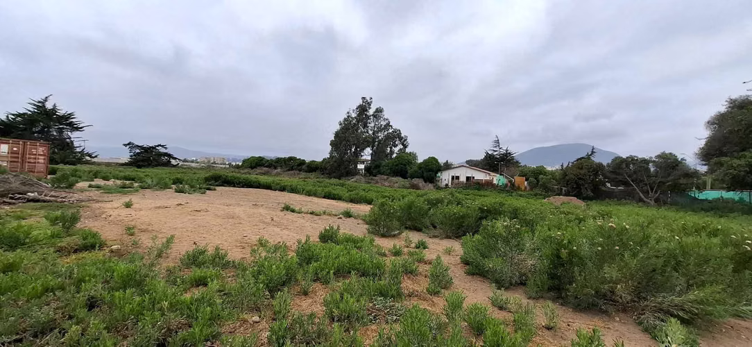 Venta Parcela, 5.450mt2 La Serena (90993)