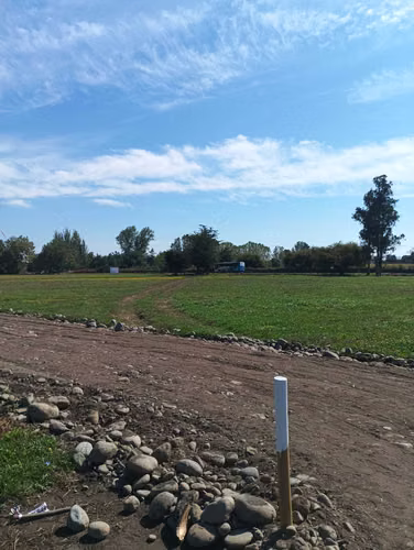 parcelas de 5000m2 sector coyanco  (91418)