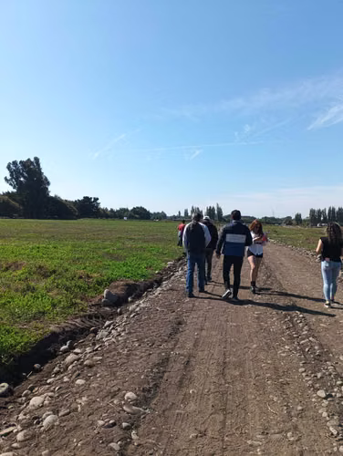 parcelas de 5000m2 sector coyanco  (91418) - Imagen 12