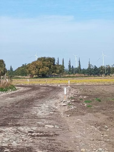 parcelas de 5000m2 sector coyanco  (91418) - Imagen 6