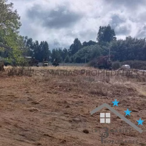 Venta Lotes con Rol  o Total de 15.500 m2 (91990)