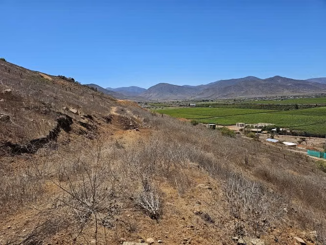 Terreno Exclusivo en Fundo Nueva Aurora, Ovalle: 5.000 m²