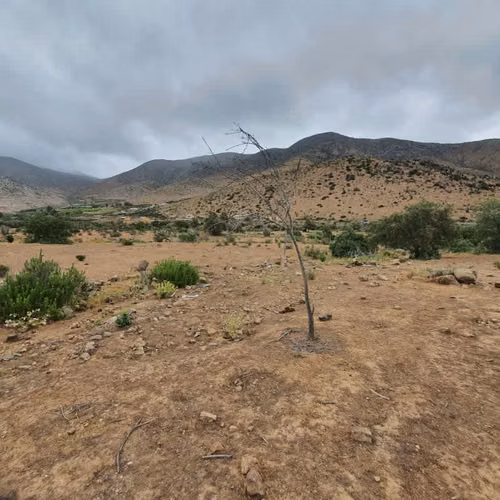 Inversión única: Terreno amplio y estratégico, 20.000 m² - Imagen 2