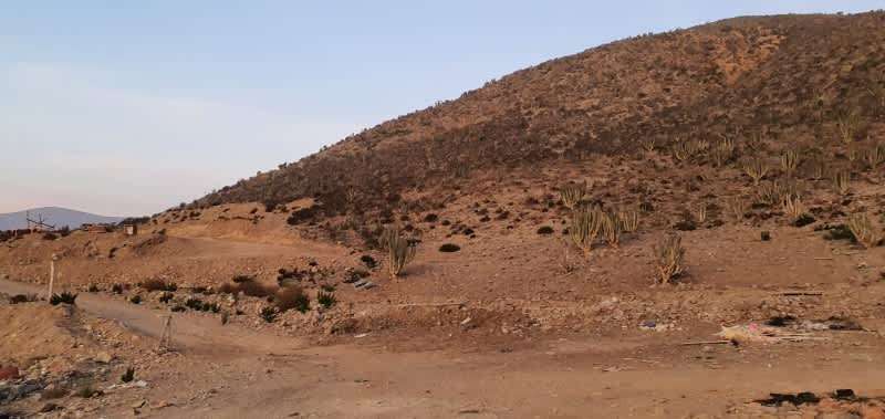 36.600 m2 - Terreno en Rinconada el Sauce - Imagen 2