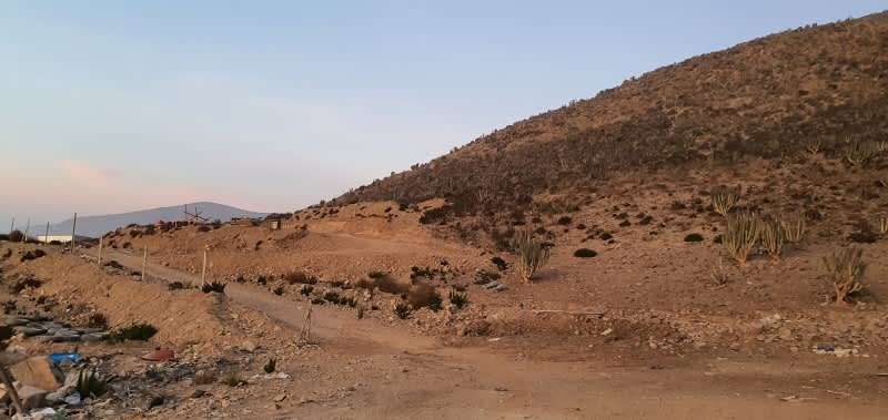 36.600 m2 - Terreno en Rinconada el Sauce - Imagen 7