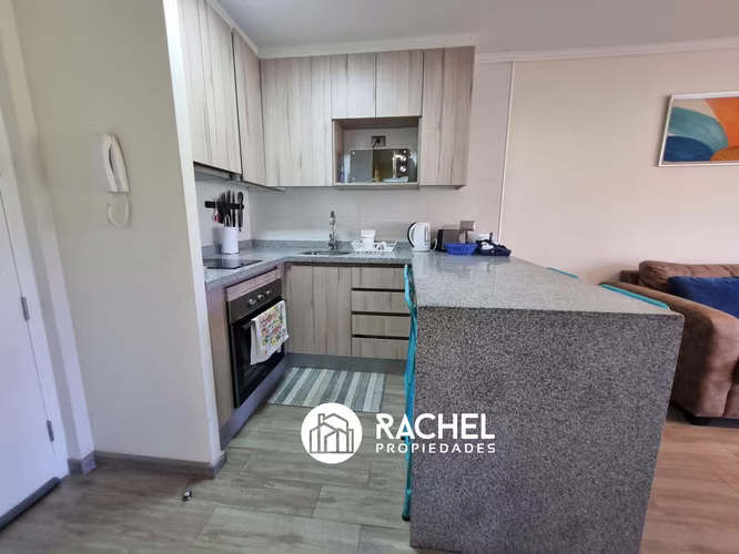 EN VENTA DEPARTAMENTO PARA 4/6 PERSONAS EN LOS CASTAÑOS DE ALICURA, PUCON