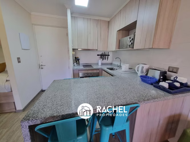 EN VENTA DEPARTAMENTO PARA 4/6 PERSONAS EN LOS CASTAÑOS DE ALICURA, PUCON