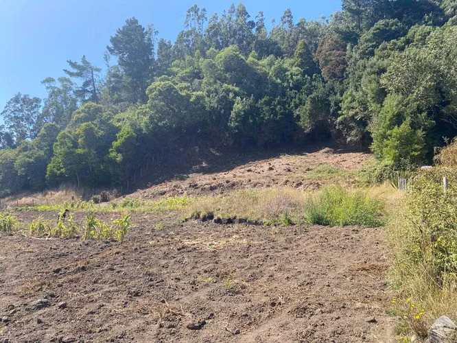 Parcela en Arauco a pasos de Extensa Playa (92707)