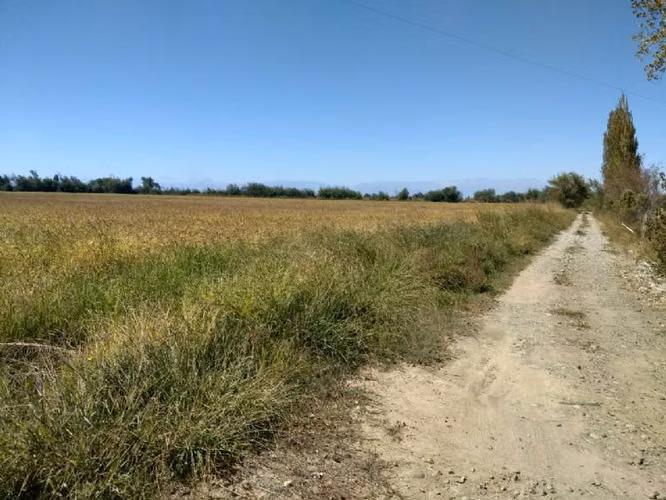 HUIMEO, LONGAVÍ