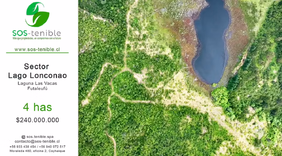 VENTA DE 4 HAS EN FUTALEUFÚ, NATURALEZA Y LAGUNA PRIVADA