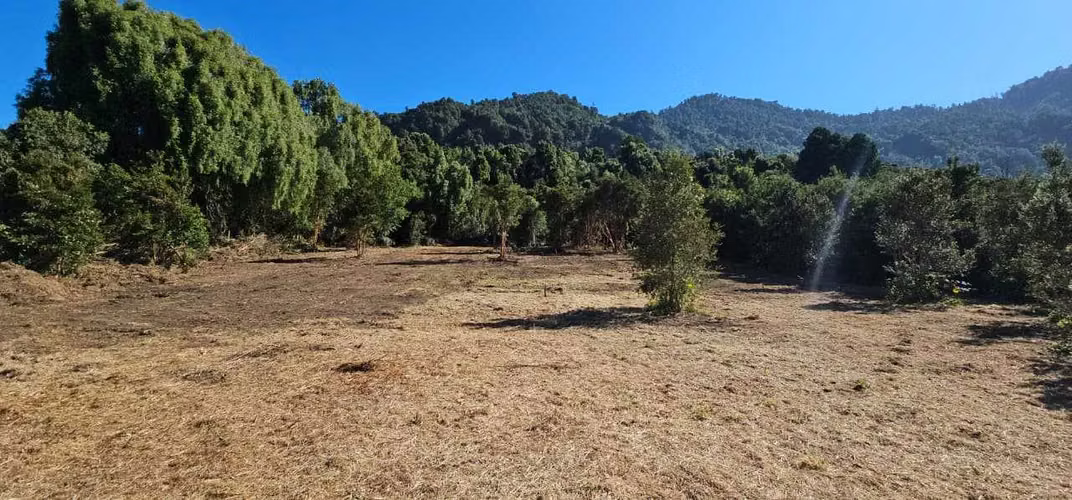 Parcela Orilla Ruta 225, KM 31, Ensenada (94590)