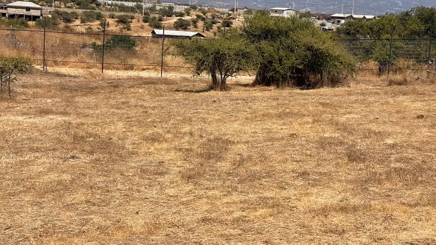 Se vende lindo terreno de 5000 metro excelente sector Limache - Imagen 3