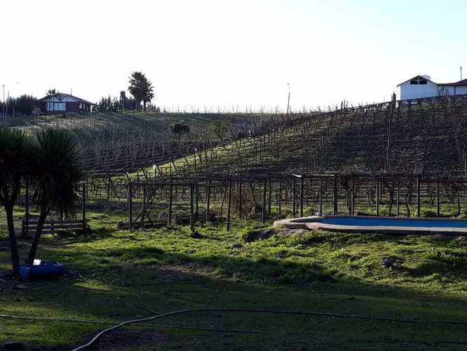 parcela en venta bosque santa cecilia  (95282) - Imagen 3