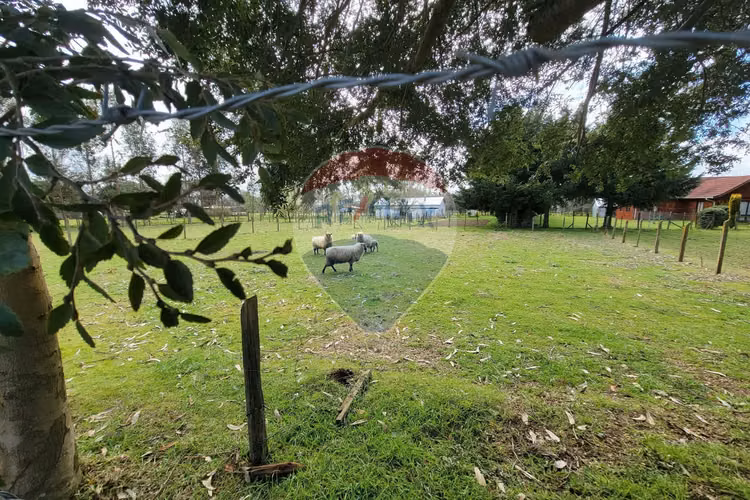 Vende parcelas barrio residencial ruta a fresia
