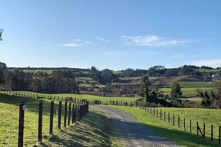 Parcelas con Vista a Volcanes, Frutillar (95540)