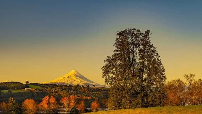 Parcelas con Vista a Volcanes, Frutillar (95540)