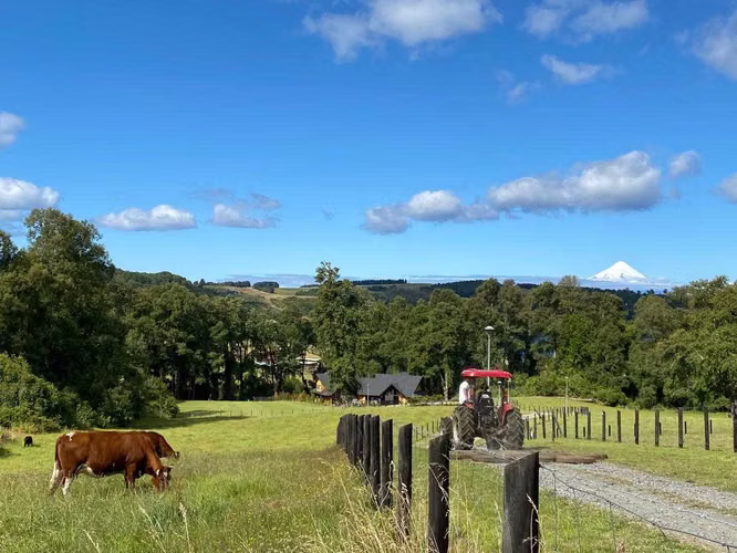 Parcelas con Vista a Volcanes, Frutillar (95540)