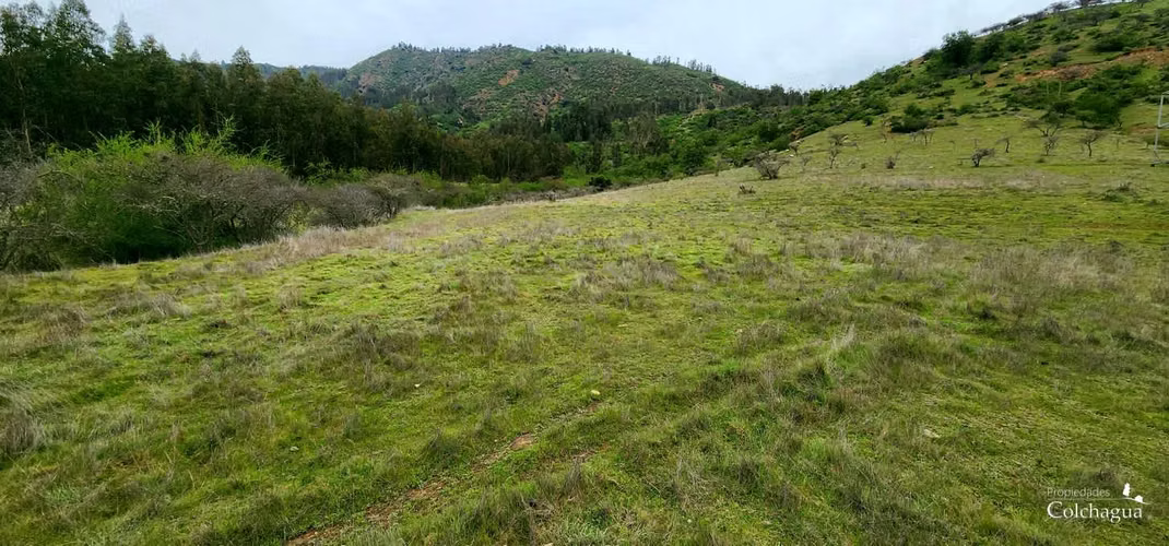 VENDO hermosa parcela, Pumanque.