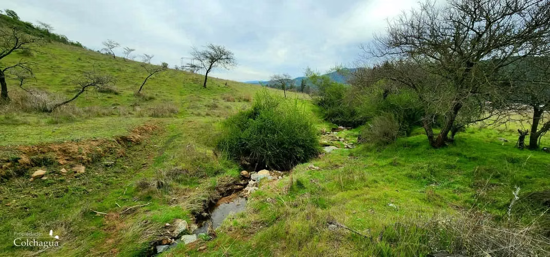 VENDO hermosa parcela, Pumanque.